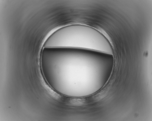 X0000092211339200709140854