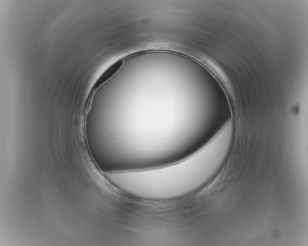 X0000092211340200709140854