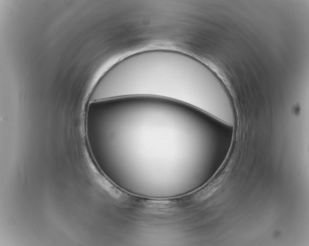 X0000092211342200709140854