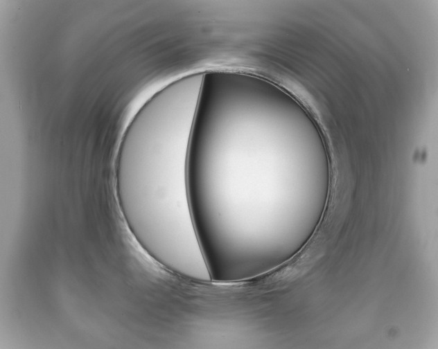 X0000092211344200709140854