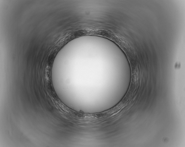 X0000092211346200709140854