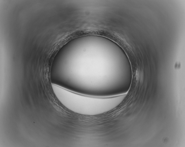 X0000092211348200709140854