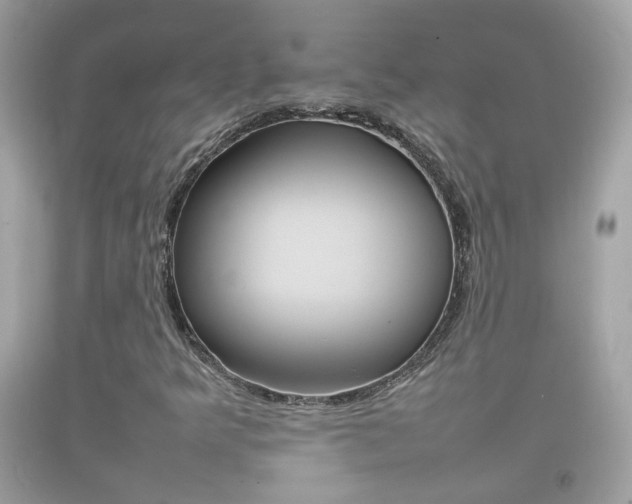 X0000092211349200709140854