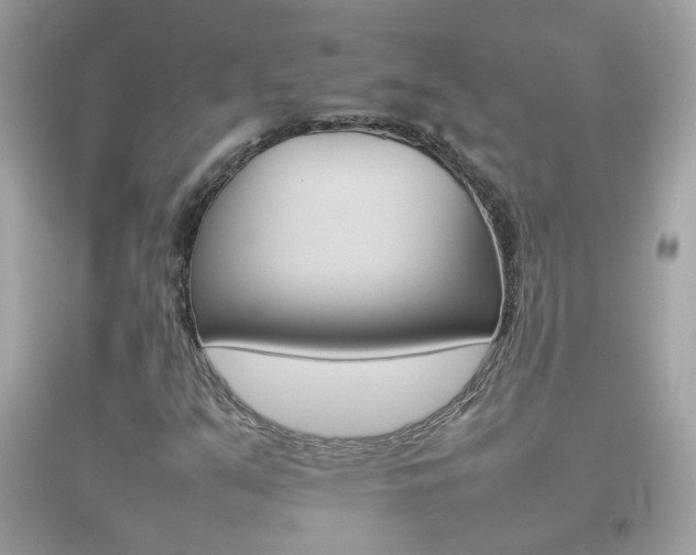 X0000092211351200709140854