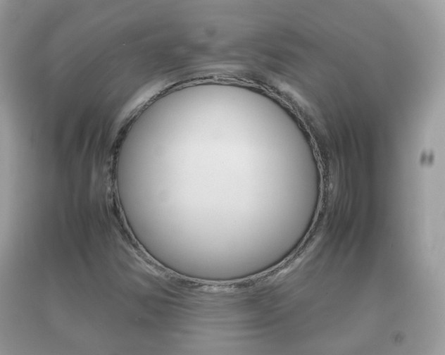 X0000092211354200709140854