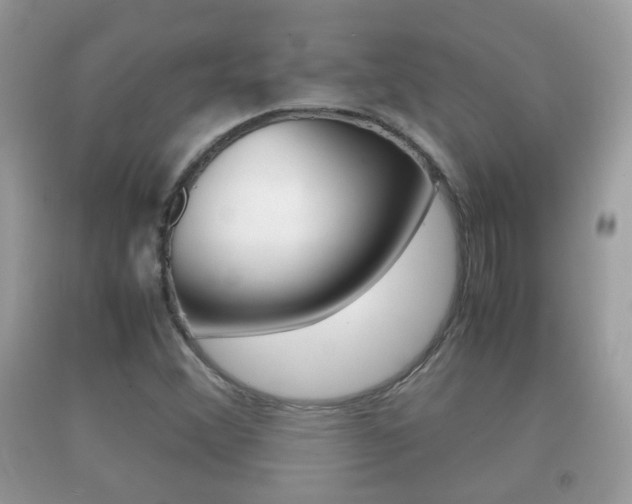 X0000092211356200709140853