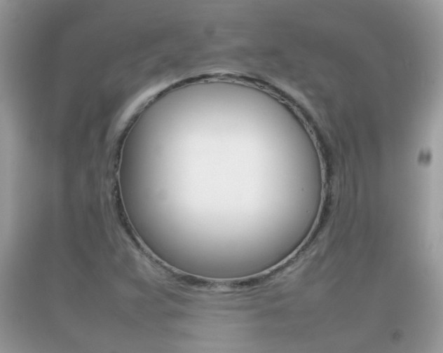 X0000092211359200709140853