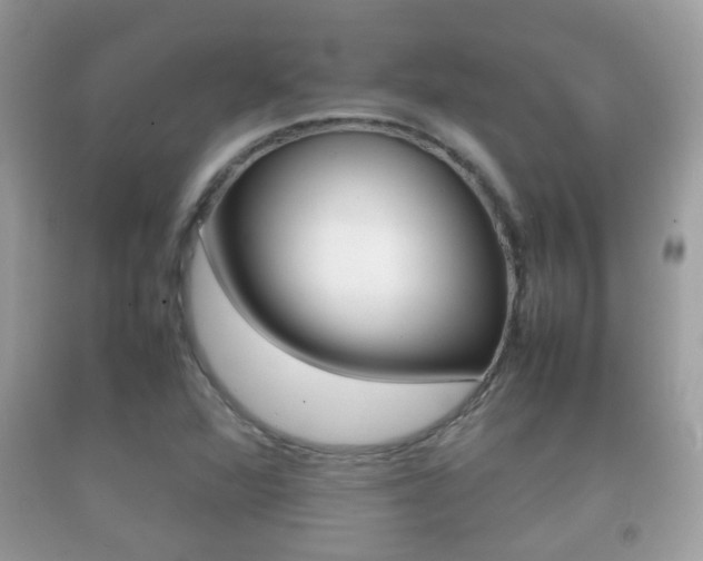 X0000092211360200709140853