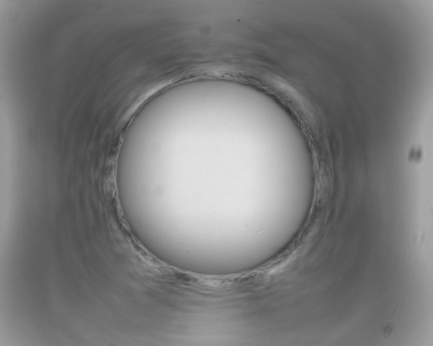 X0000092211361200709140853