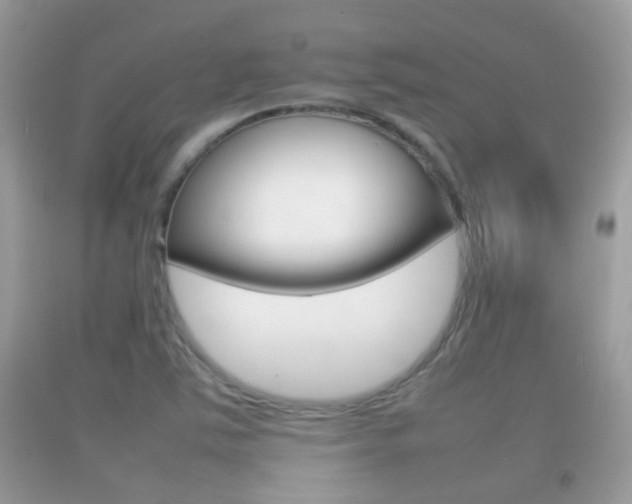 X0000092211363200709140853