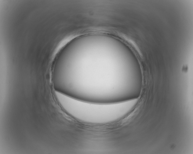 X0000092211365200709140853