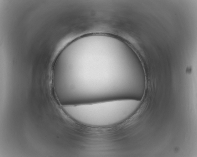 X0000092211366200709140853