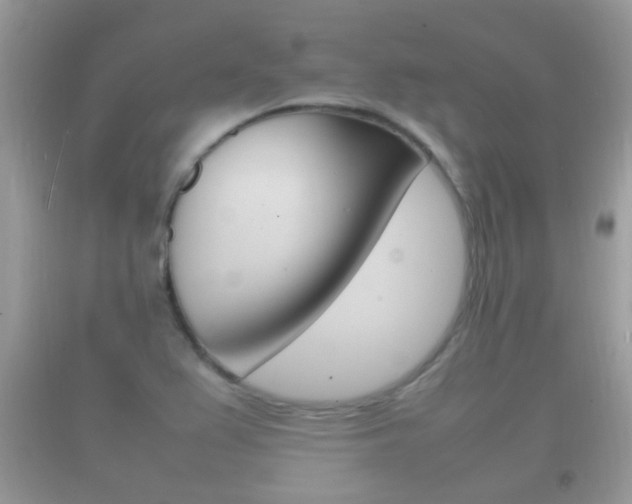 X0000092211367200709140853