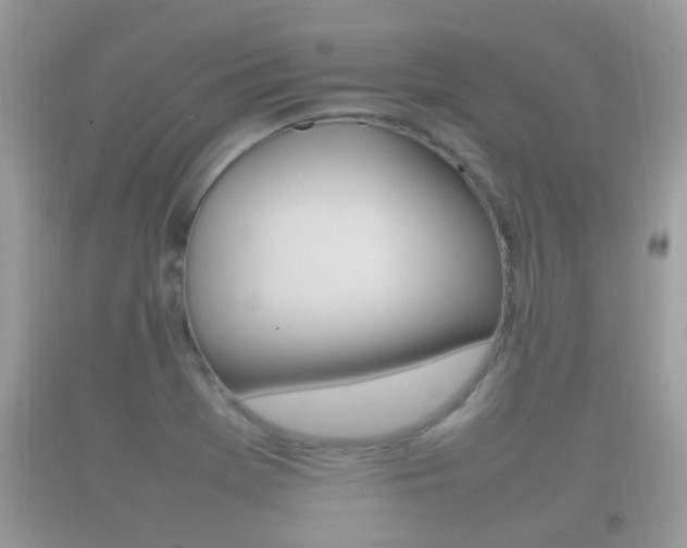 X0000092211369200709140853