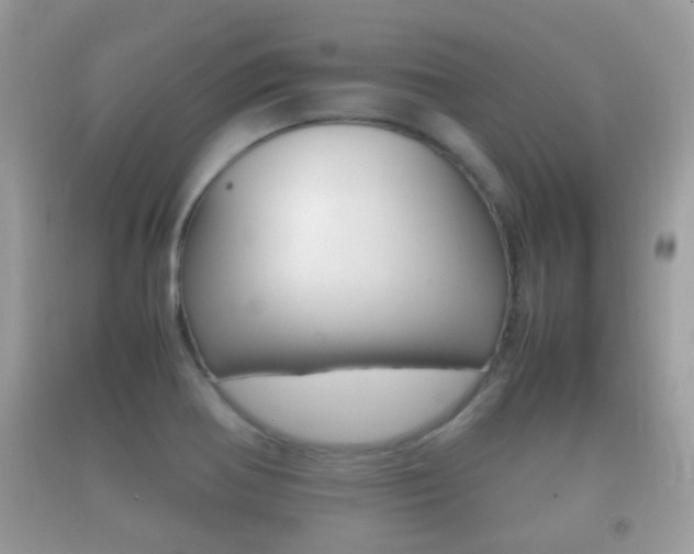 X0000092211370200709140853