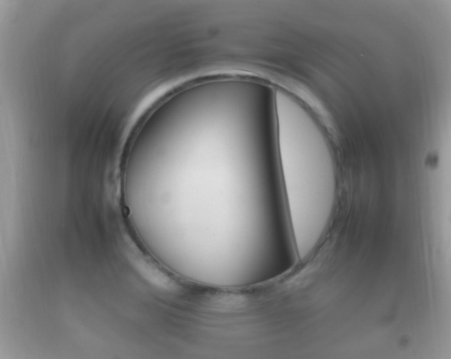 X0000092211372200709140853