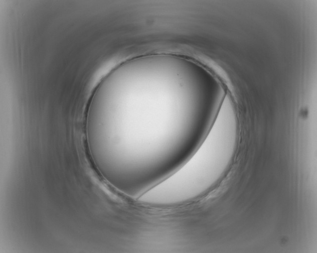 X0000092211373200709140853