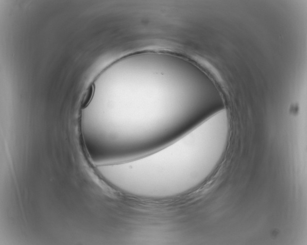 X0000092211375200709140853