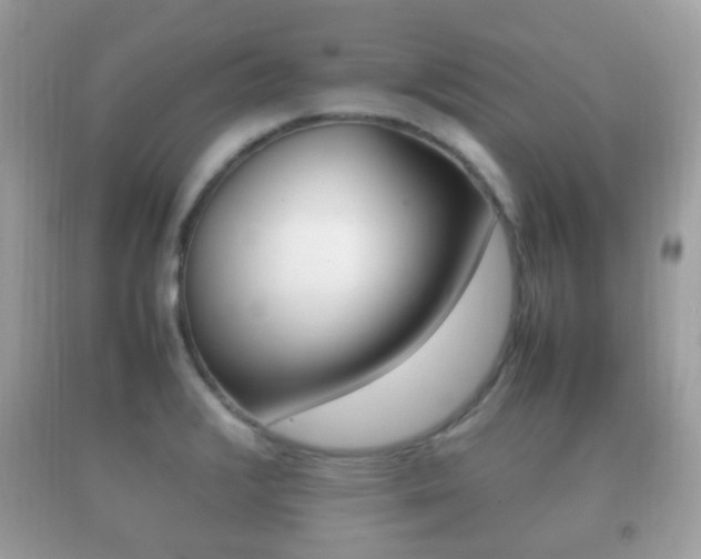 X0000092211376200709140853