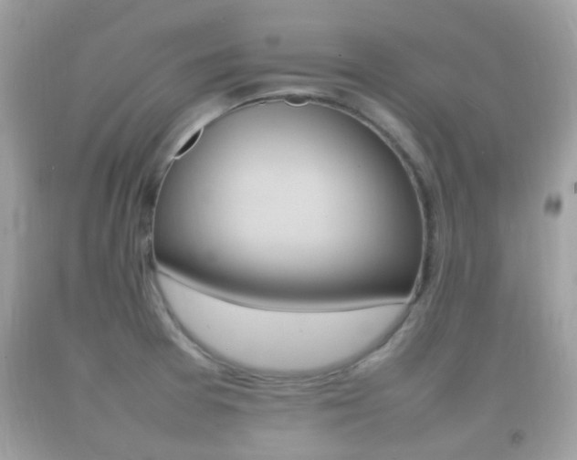 X0000092211377200709140853