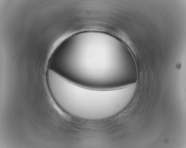 X0000092211379200709140853