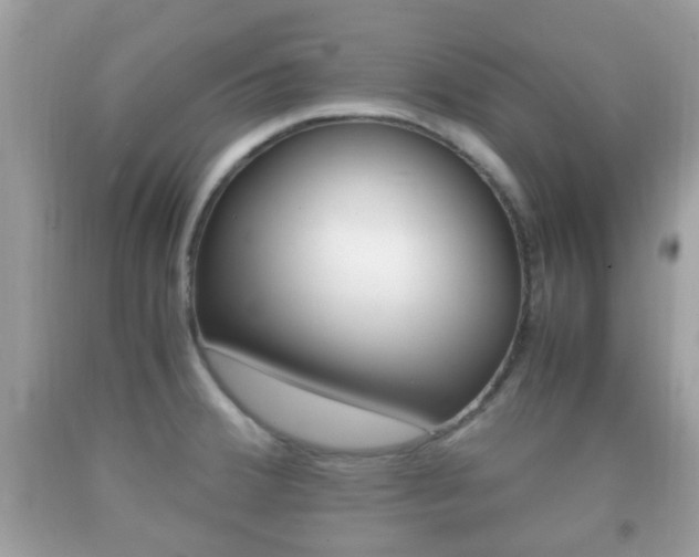 X0000092211380200709140853