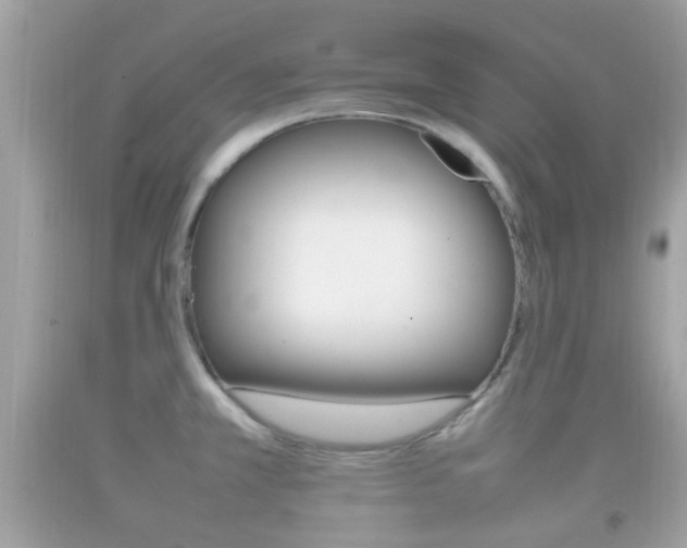X0000092211381200709140853
