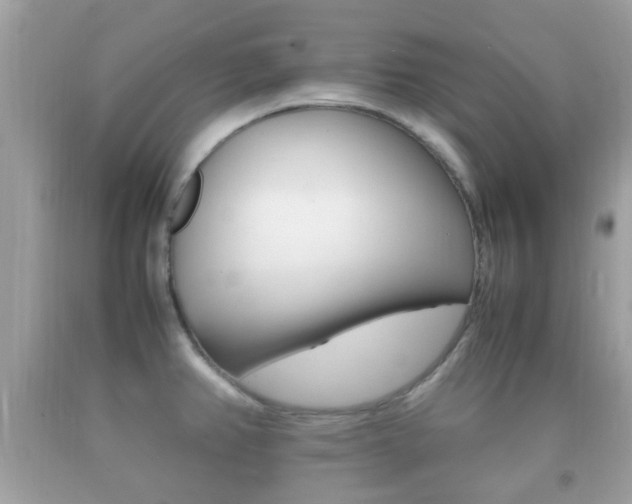 X0000092211382200709140853