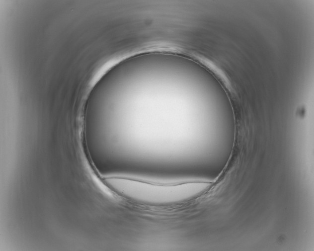 X0000092211383200709140853