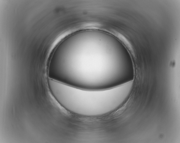 X0000092211384200709140853