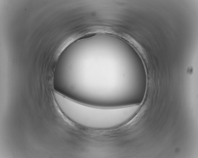 X0000092211385200709140853