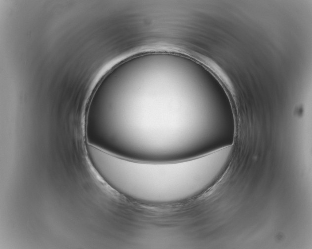 X0000092211388200709140853