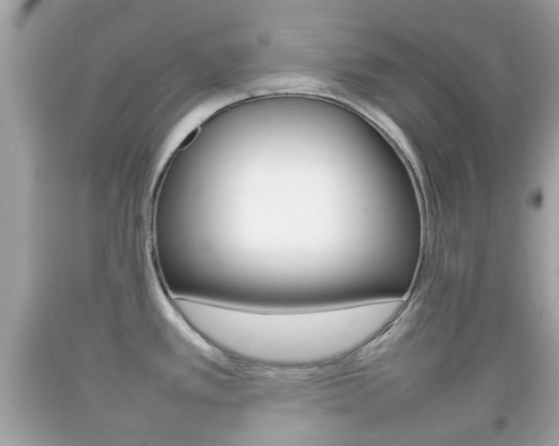 X0000092211389200709140853