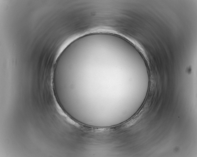 X0000092211390200709140853