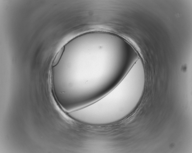 X0000092211391200709140853