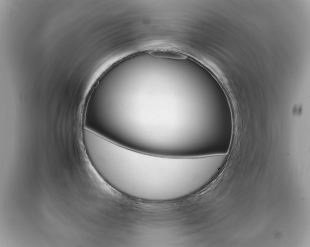 X0000092211392200709140853