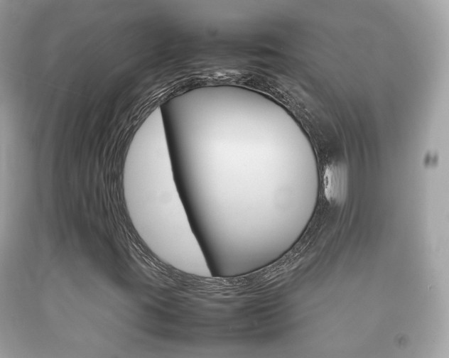 X0000092211395200709140852