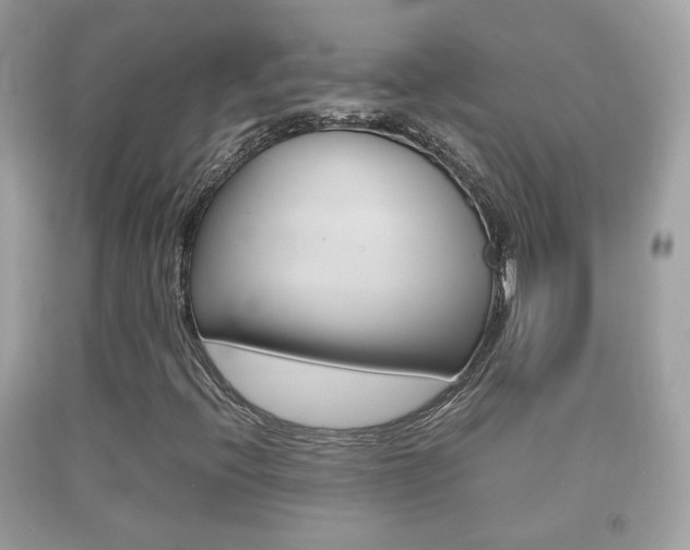 X0000092211396200709140852