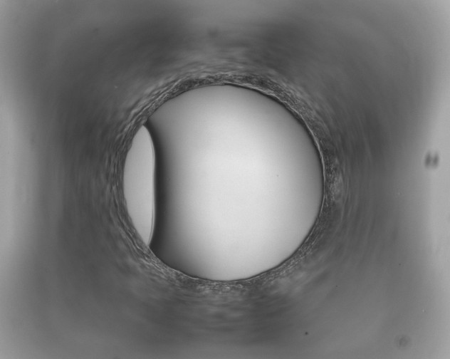 X0000092211397200709140852
