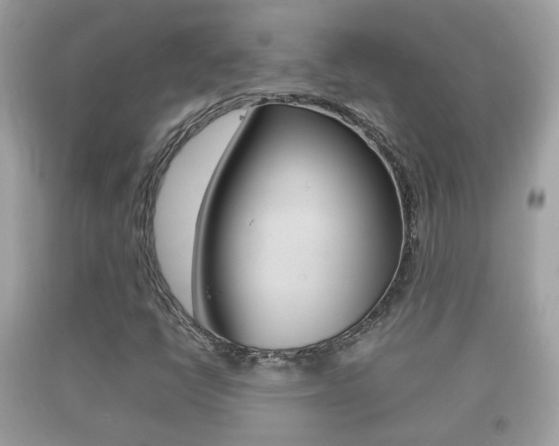 X0000092211398200709140853