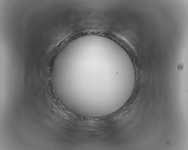 X0000092211399200709140853