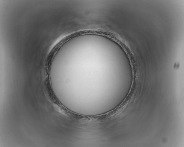 X0000092211400200709140853