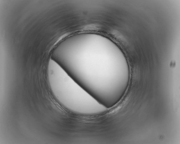 X0000092211401200709140853