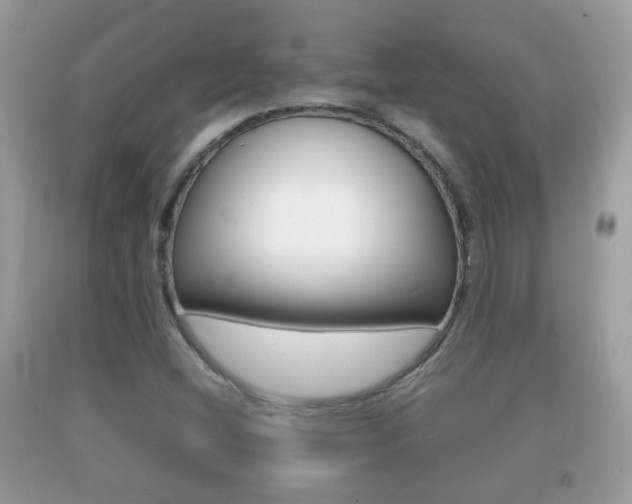 X0000092211404200709140853