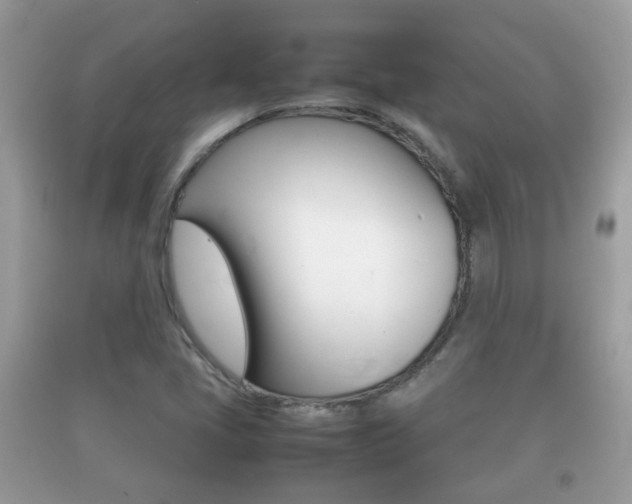 X0000092211405200709140853