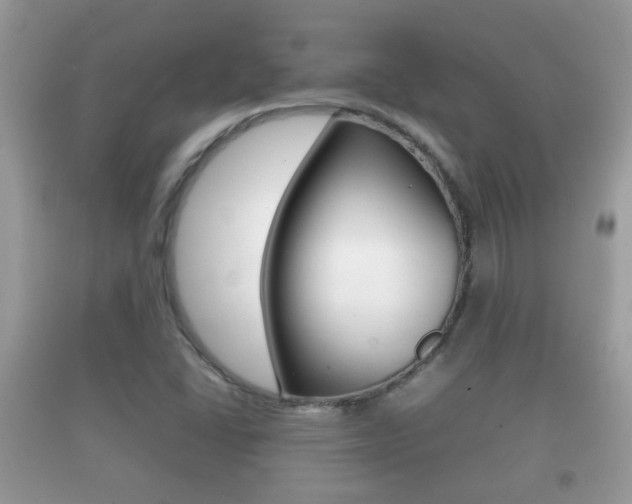 X0000092211406200709140853
