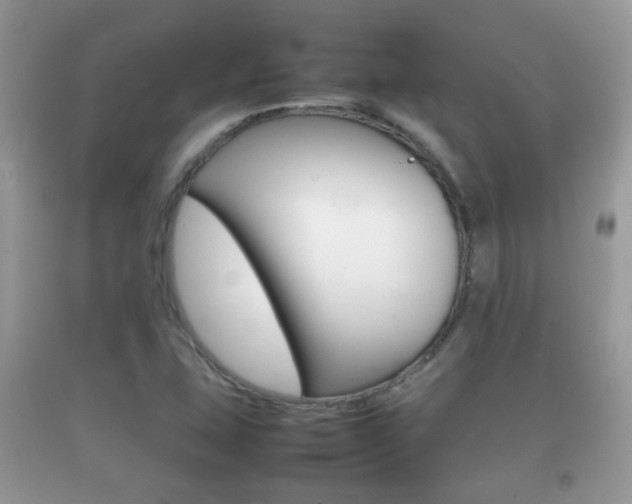 X0000092211407200709140853