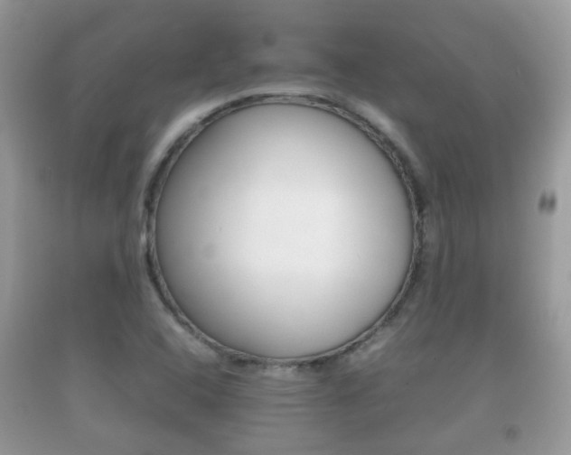 X0000092211408200709140853