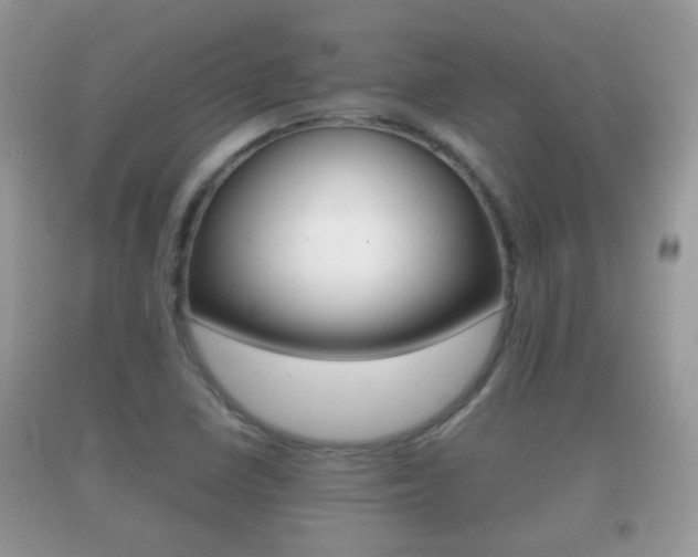 X0000092211410200709140853