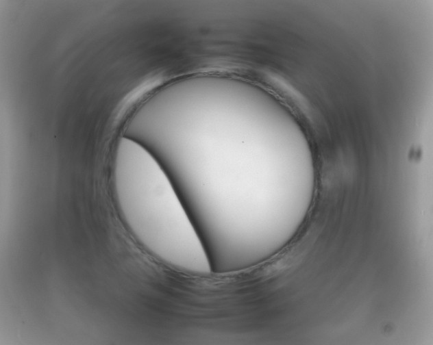 X0000092211411200709140853